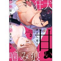 狂犬の甘い噛み痕 キス以上のこと、教えてやるよ(分冊版) 【第3話】