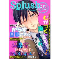 Splush vol.55 青春系ボーイズラブマガジン