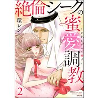 絶倫シークの蜜愛調教〜ひざまずいて喘げ〜(2)