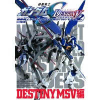 機動戦士ガンダムSEED DESTINYモデル Vol.2 DESTINY MSV編