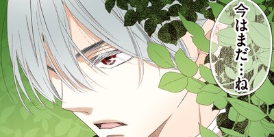 ����륹����� 48�ڥե륫�顼��