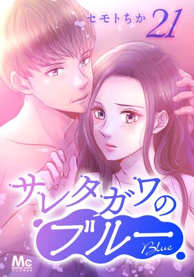 ���쥿����Υ֥롼 ʬ���� 21