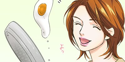 ���ե���ʳʡ��ץ饤�ɡ�17�ڥե륫�顼��