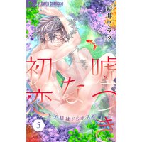 嘘つきな初恋〜王子様はドSホスト〜【電子版限定描きおろしSSつき】 5