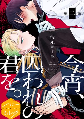 �����������η���ʬ���� 2��