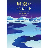 星空にパレット