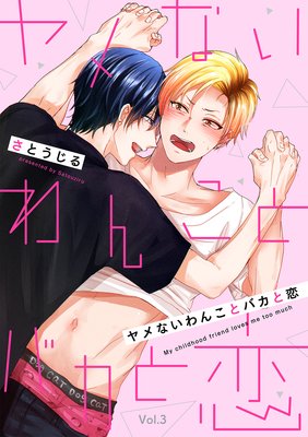 ���ʤ���󤳤ȥХ�������ʬ���ǡ� 3��