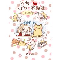 うちの猫はきょうも不機嫌…私にだけ!