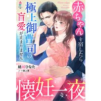 懐妊一夜〜赤ちゃんを宿したら極上御曹司の盲愛が止まりません〜
