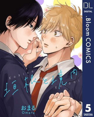 ��ñ����۳����ȶ��� 5