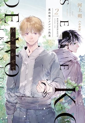 ����ʹ�����ơ�2����ˡ�Ȥ����դη��