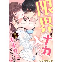 限界だからナカに入らせて?溺愛オオカミの不純な行為(3)
