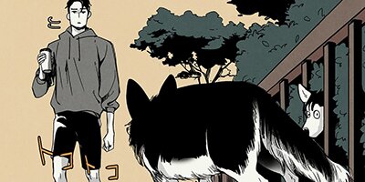 WOLF IN THE HOUSE������ա����󡦥����ϥ���30�áڥե륫�顼��