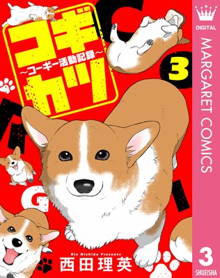 コギカツ〜コーギー活動記録〜 3