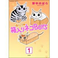 ほっこり・箱入りネコBOYS(分冊版)