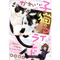 かわいい子猫のアイランド 〜漫画家が保護猫を引き取った話〜