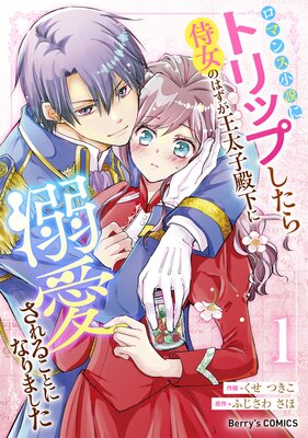 間違い で 求婚 され た 女 は 一 年 後 離縁 され る