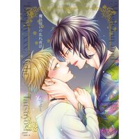 魔法使いの乱れ夜話