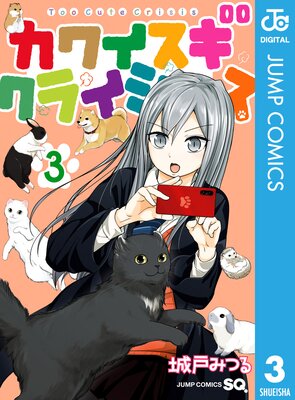 ���磻�������饤���� 3