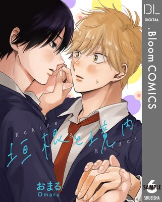 ��ñ����۳����ȶ���