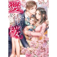 【絵ノベル】愛を待つ桜 エリート弁護士、偽りの結婚と秘密の息子