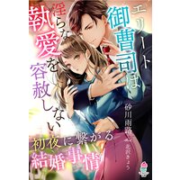 エリート御曹司は淫らな執愛を容赦しない〜初夜に繋がる結婚事情〜