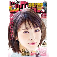 ビッグコミック