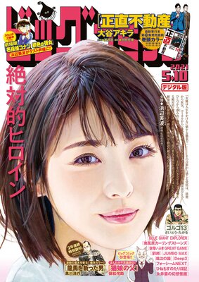 ビッグコミック