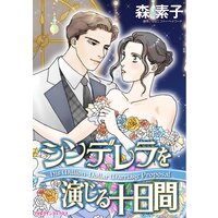 シンデレラを演じる十日間