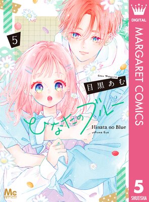 �Ҥʤ��Υ֥롼 5