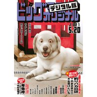 ビッグコミックオリジナル