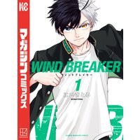 WIND BREAKER