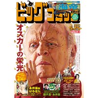 ビッグコミック