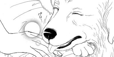 動物たちがくれた素敵な出会い 5
