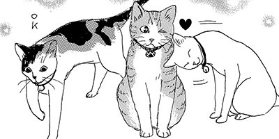猫が教えてくれた優しい時間 3