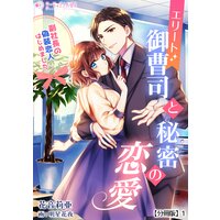 エリート御曹司と秘密の恋愛〜副社長の偽装恋人はじめました〜【分冊版】