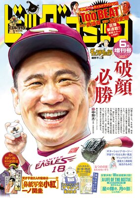 ビッグコミック増刊