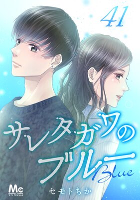 ���쥿����Υ֥롼 ʬ���� 41