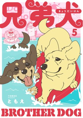 ���︤ 5��