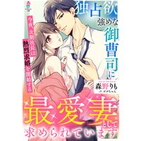 独占欲強めな御曹司に最愛妻として求められています〜今夜、次期社長は熱烈求婚を開始する〜