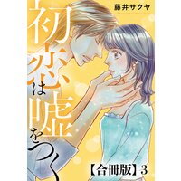初恋は嘘をつく 合冊版3