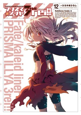 Fate／kaleid liner プリズマ☆イリヤ ドライ！！（12）