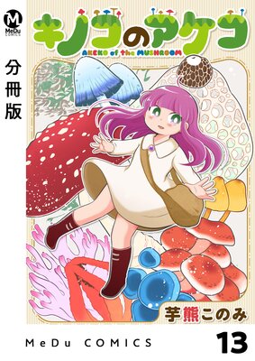 ��ʬ���ǡۥ��Υ��Υ����� 13