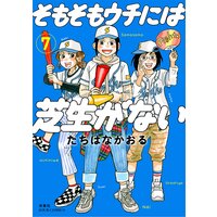 そもそもウチには芝生がない 7