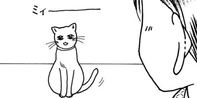 ��Ǥ���椯�� 339