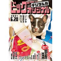 ビッグコミックオリジナル