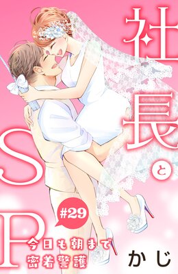 ��Ĺ��SP ��������ī�ޤ�̩��ٸ����comic tint��ʬ���� 29��