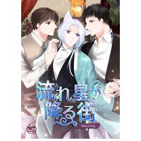 流れ星が降る街