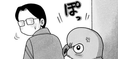 �����͡���1��