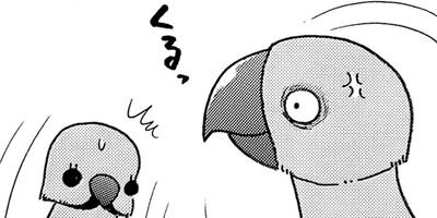 �����͡���4��